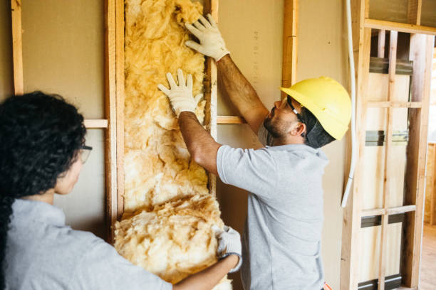 Best Insulation for New Construction  in Talluh, LA